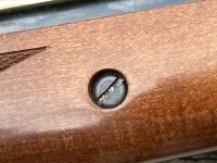 IMG_0584.jpeg