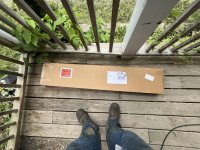 IMG_0599.jpeg