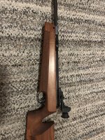 IMG_8781.jpeg