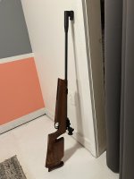 IMG_8779.jpeg