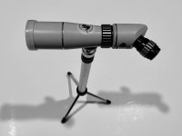 IMG_4009.jpeg