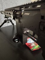 IMG_2600.jpeg