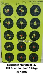 Target-2-50-yards.jpg