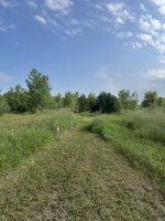 IMG_7684.jpeg