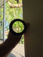 20250608_175811.jpg