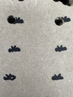 IMG_8427.jpeg