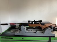 IMG_5147.jpeg