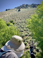 IMG_1465.jpeg