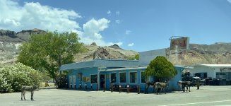 IMG_1544.jpeg
