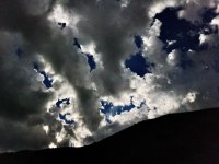 IMG_1526.jpeg