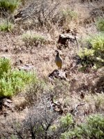IMG_1424.jpeg