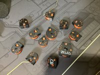 IMG_2164.jpeg
