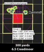 300 yards best.jpg