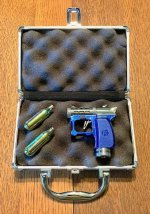 Gem case.jpg