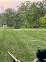 IMG_7605.jpeg