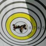 Screenshot_20250331_085256_Airgun Nation.jpg