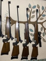 IMG_4069.jpeg