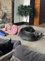 IMG_3373.jpeg