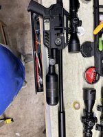 IMG_1567.jpeg