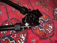 IMG_2338.jpeg