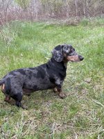 IMG_1457.jpeg