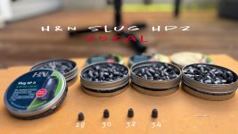 H&N-25cal-slugs.jpg