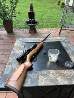 IMG_5399.jpeg