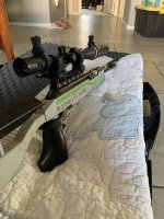 IMG_2050.jpeg
