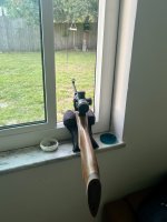 IMG_5786.jpeg