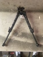 IMG_1578.jpeg
