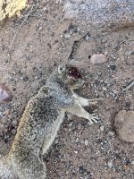IMG_6560.jpeg