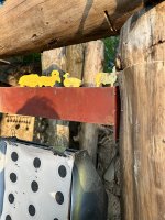 IMG_2059.jpeg