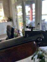 IMG_2081.jpeg