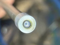IMG_5250.jpeg