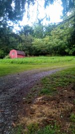 IMG_20250625_201210.jpg