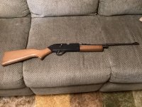 IMG_0433.jpeg