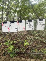 IMG_1822.jpeg