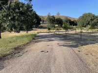 IMG_6374.jpeg
