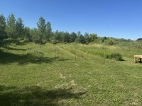 IMG_7769.jpeg