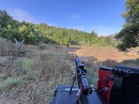 IMG_4902.jpeg