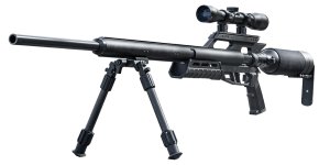 Tex-Rex_457.jpg