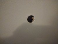 IMG_20250702_180642371.jpg