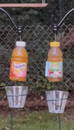 IMG_1855.jpeg