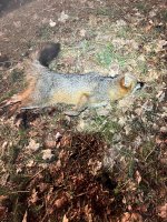 IMG_2621.jpeg