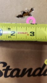 20250704_204212.jpg