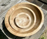 Silver Maple1.jpg