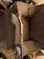 IMG_3800.jpeg