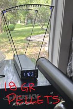 19grain FX pellet.JPG