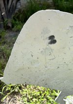 IMG_5694.jpeg