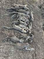 IMG_7498.jpeg